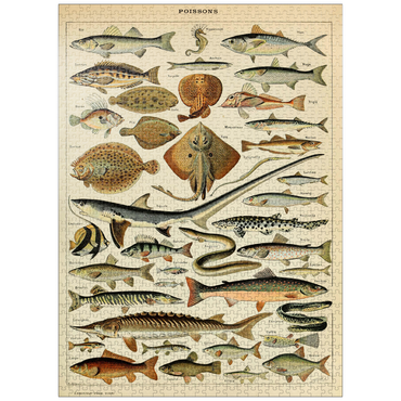 puzzleplate Fish For All, Vintage Art Poster, Adolphe Millot 1000 Jigsaw Puzzle
