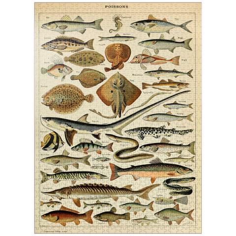 puzzleplate Fish For All, Vintage Art Poster, Adolphe Millot 1000 Jigsaw Puzzle