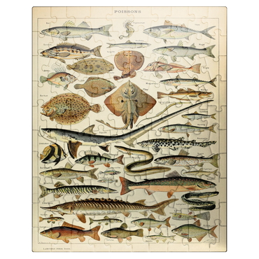 puzzleplate Fish For All, Vintage Art Poster, Adolphe Millot 100 Jigsaw Puzzle
