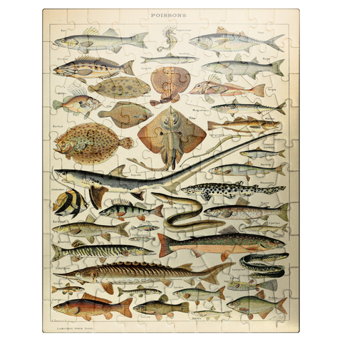 puzzleplate Fish For All, Vintage Art Poster, Adolphe Millot 100 Jigsaw Puzzle