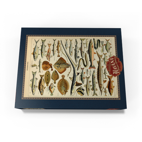 Fish For All, Vintage Art Poster, Adolphe Millot 300 Jigsaw Puzzle box view3