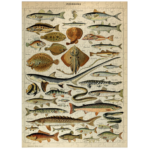 puzzleplate Fish For All, Vintage Art Poster, Adolphe Millot 300 Jigsaw Puzzle