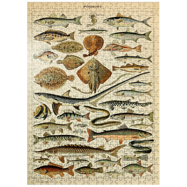 puzzleplate Fish For All, Vintage Art Poster, Adolphe Millot 500 Jigsaw Puzzle
