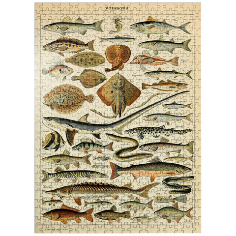 puzzleplate Fish For All, Vintage Art Poster, Adolphe Millot 500 Jigsaw Puzzle