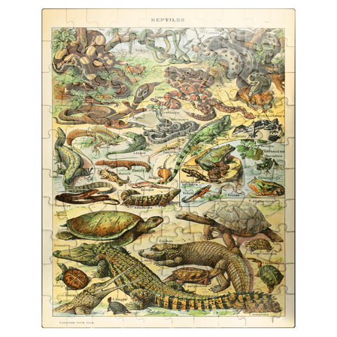 puzzleplate Reptiles For All, Vintage Art Poster, Adolphe Millot 100 Jigsaw Puzzle