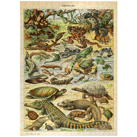puzzleplate Reptiles For All, Vintage Art Poster, Adolphe Millot 300 Jigsaw Puzzle