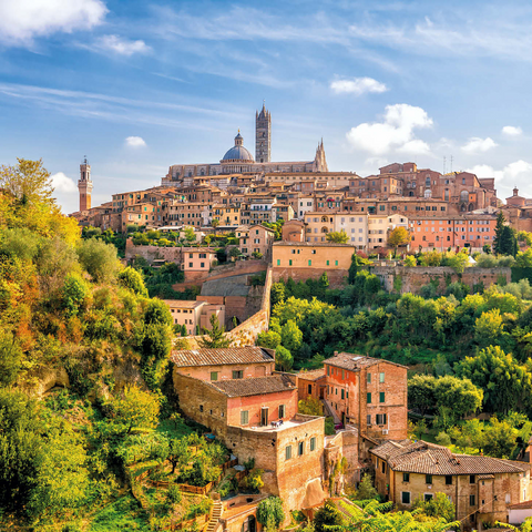 Panorama of Siena - Tuscany, Italy 1000 Jigsaw Puzzle 3D Modell
