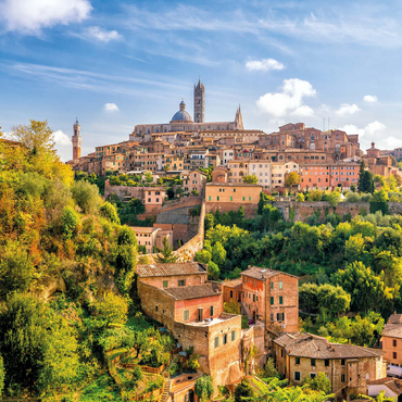 Panorama of Siena - Tuscany, Italy 100 Jigsaw Puzzle 3D Modell