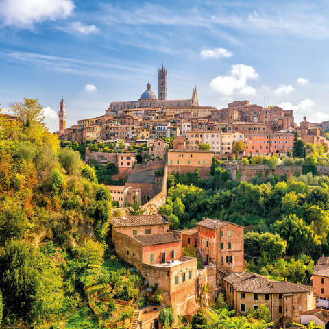 Panorama of Siena - Tuscany, Italy 100 Jigsaw Puzzle 3D Modell