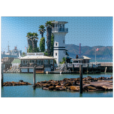 puzzleplate Sea lion colony at Pier 39 of Fisherman's Wharf - San Francisco, California, USA 1000 Jigsaw Puzzle