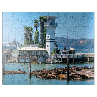 puzzleplate Sea lion colony at Pier 39 of Fisherman's Wharf - San Francisco, California, USA 100 Jigsaw Puzzle