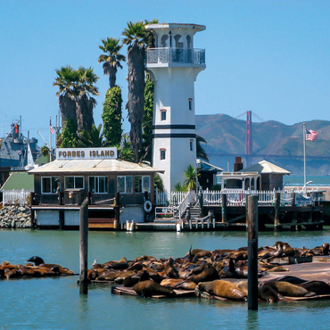 Sea lion colony at Pier 39 of Fisherman's Wharf - San Francisco, California, USA 100 Jigsaw Puzzle 3D Modell