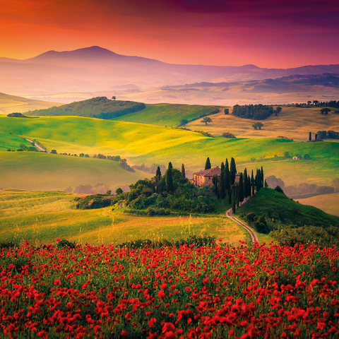 Picturesque sunrise in Tuscany - Pienza, Italy 1000 Jigsaw Puzzle 3D Modell