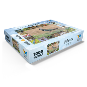 1000