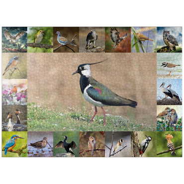 puzzleplate Birds of the Year - Collage No.9 - Main motif: Lapwing 1000 Jigsaw Puzzle