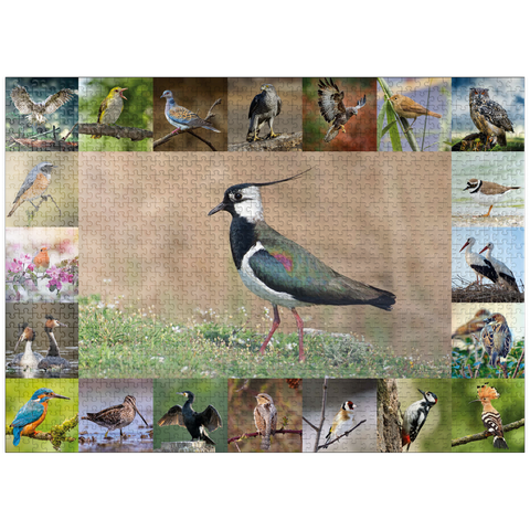 puzzleplate Birds of the Year - Collage No.9 - Main motif: Lapwing 1000 Jigsaw Puzzle