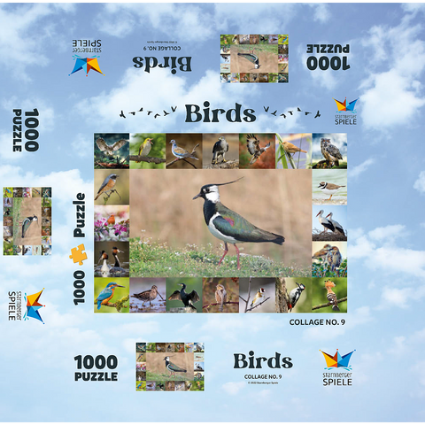 Birds of the Year - Collage No.9 - Main motif: Lapwing 1000 Jigsaw Puzzle box 3D Modell