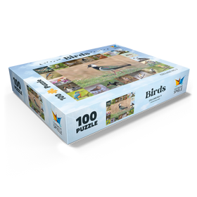 100