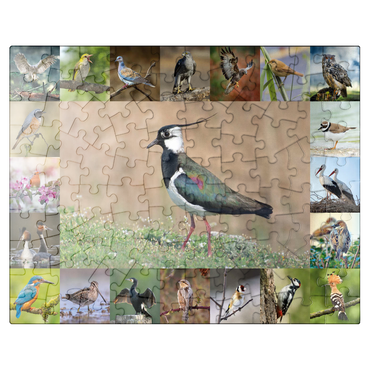 puzzleplate Birds of the Year - Collage No.9 - Main motif: Lapwing 100 Jigsaw Puzzle