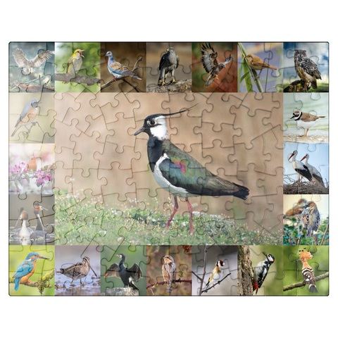puzzleplate Birds of the Year - Collage No.9 - Main motif: Lapwing 100 Jigsaw Puzzle
