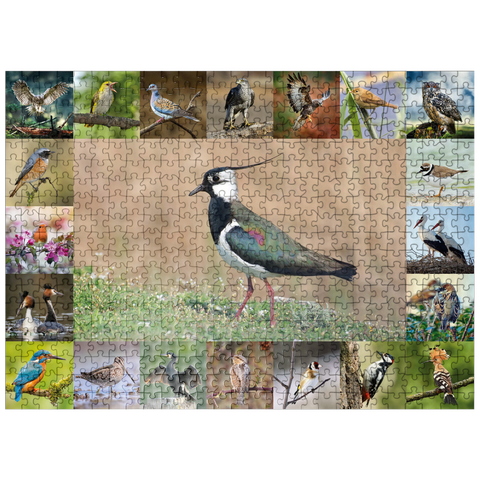 puzzleplate Birds of the Year - Collage No.9 - Main motif: Lapwing 500 Jigsaw Puzzle