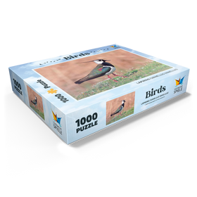 1000