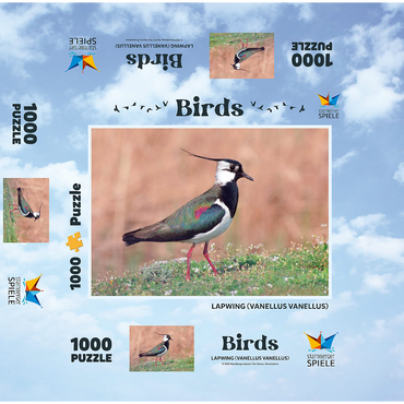 Lapwing - bird of the year 2024 1000 Jigsaw Puzzle box 3D Modell