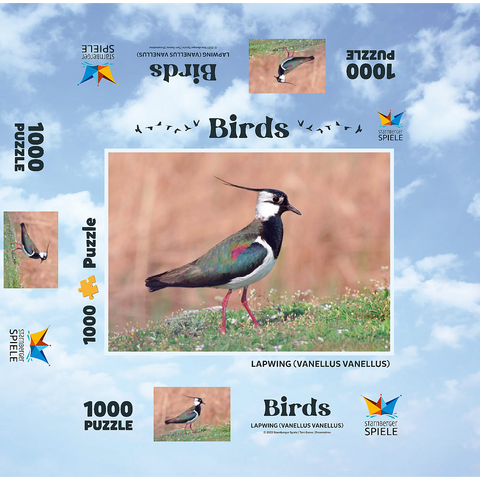 Lapwing - bird of the year 2024 1000 Jigsaw Puzzle box 3D Modell