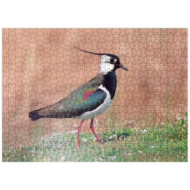 puzzleplate Lapwing - bird of the year 2024 500 Jigsaw Puzzle