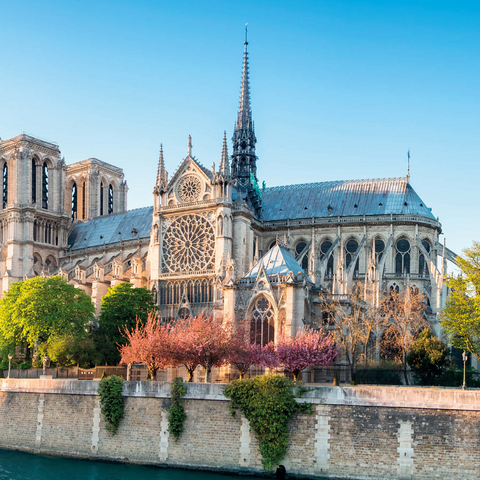 Notre Dame de Paris Cathedral on the Seine - France 1000 Jigsaw Puzzle 3D Modell