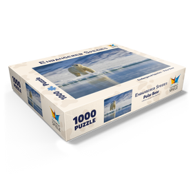 1000