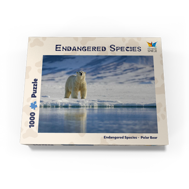 Endangered species: Polar bear in Svalbard - Norway 1000 Jigsaw Puzzle box view1
