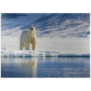 puzzleplate Endangered species: Polar bear in Svalbard - Norway 1000 Jigsaw Puzzle