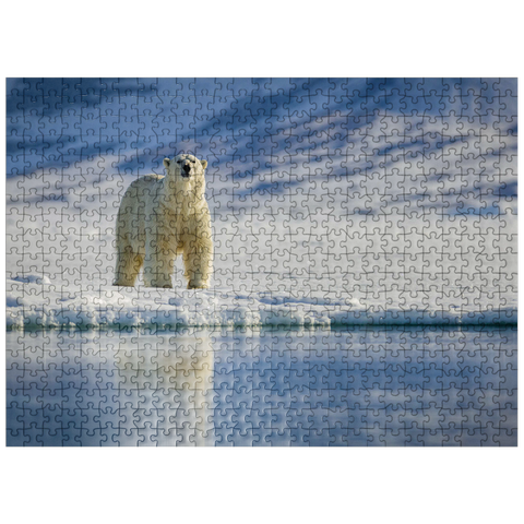 puzzleplate Endangered species: Polar bear in Svalbard - Norway 500 Jigsaw Puzzle