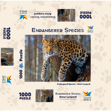 Endangered species: Amur leopard 1000 Jigsaw Puzzle box 3D Modell