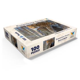 100