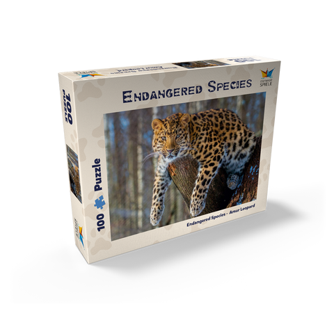 Endangered species: Amur leopard 100 Jigsaw Puzzle box view1