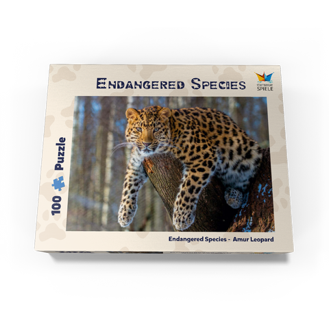 Endangered species: Amur leopard 100 Jigsaw Puzzle box view1