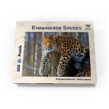 Endangered species: Amur leopard 500 Jigsaw Puzzle box view1