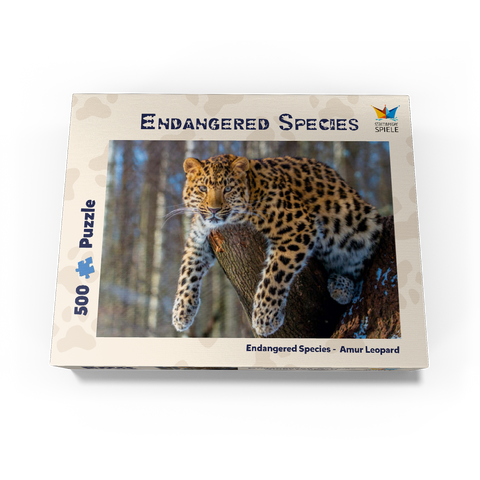 Endangered species: Amur leopard 500 Jigsaw Puzzle box view1