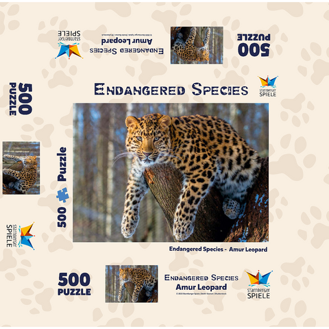 Endangered species: Amur leopard 500 Jigsaw Puzzle box 3D Modell