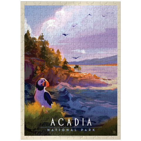 puzzleplate Acadia National Park: Puffin Paradise, Vintage Poster 300 Jigsaw Puzzle