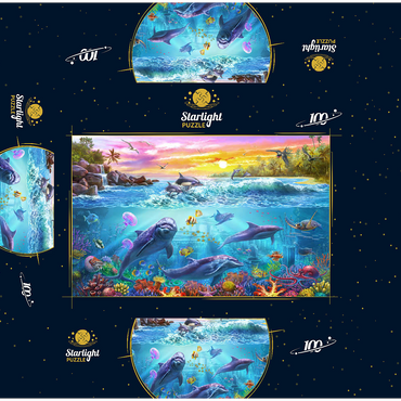 Magnificent Undersea World 100 Jigsaw Puzzle box 3D Modell