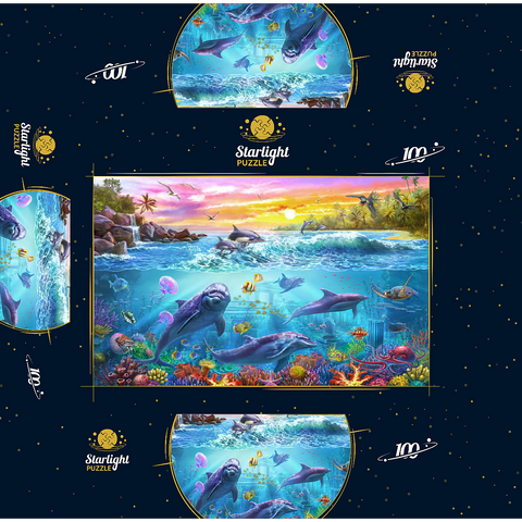 Magnificent Undersea World 100 Jigsaw Puzzle box 3D Modell