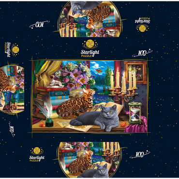 Cats Near the Window at Night 100 Jigsaw Puzzle box 3D Modell