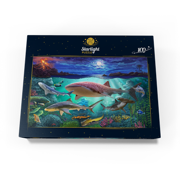 Sharks 100 Jigsaw Puzzle box view3