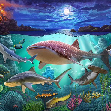 Sharks 100 Jigsaw Puzzle 3D Modell