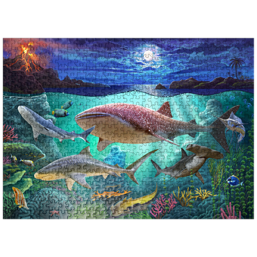 puzzleplate Sharks 500 Jigsaw Puzzle