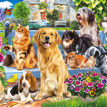 Pets 1000 Jigsaw Puzzle 3D Modell