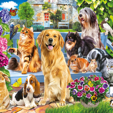 Pets 100 Jigsaw Puzzle 3D Modell